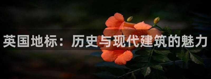 谈球吧官网在线入口免费观看视频