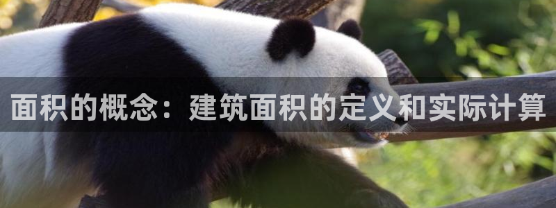 谈球吧(中国)官方网站