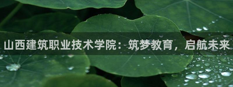 谈球吧黑款