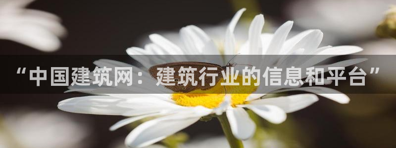 谈球吧app在哪里下载