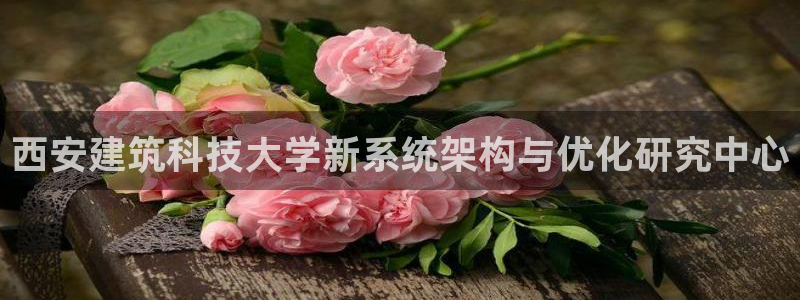 谈球吧官网入口在线观看