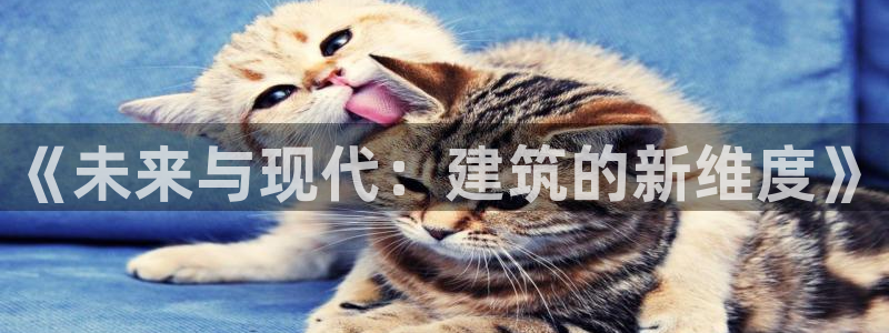 谈球吧体育app下载中心官方最新版：《未来与现代：建筑的新维度》