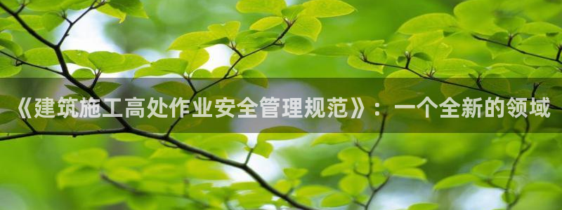 谈球吧登录网：《建筑施工高处作业安全管理规范》：一个全新的领域