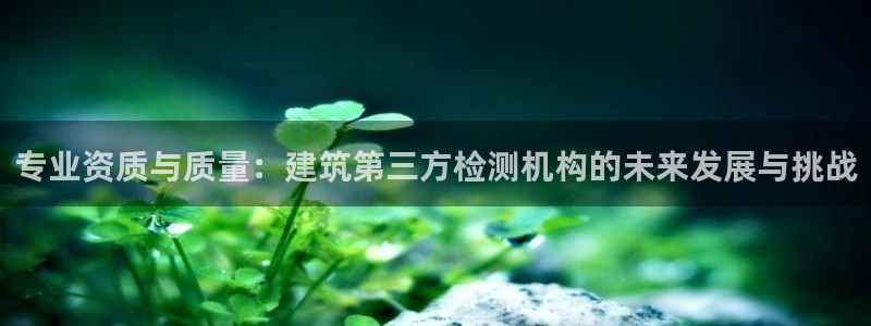 谈球吧出款怎样?：专业资质与质量：建筑第三方检测机构的未来发展与挑战