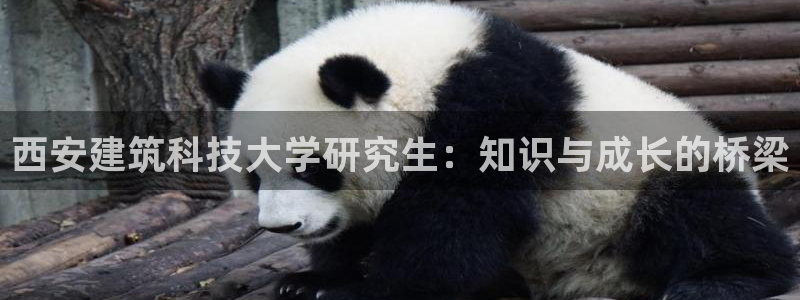 谈球吧体育官网在线入口：西安建筑科技大学研究生：知识与成长的桥梁