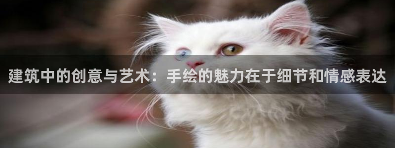 谈球吧是黑台子吗还是白台子